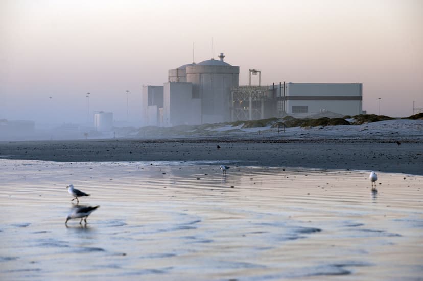 ‘Zombie’ nuclear project: Nuclear-1 environmental authorisation faces legal battle