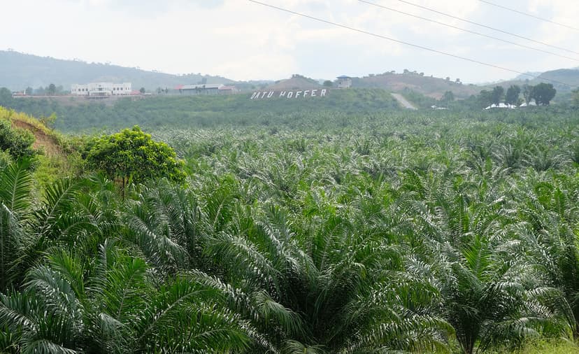 Marcos reaffirms support for Bangsamoro peace process and calls for unity