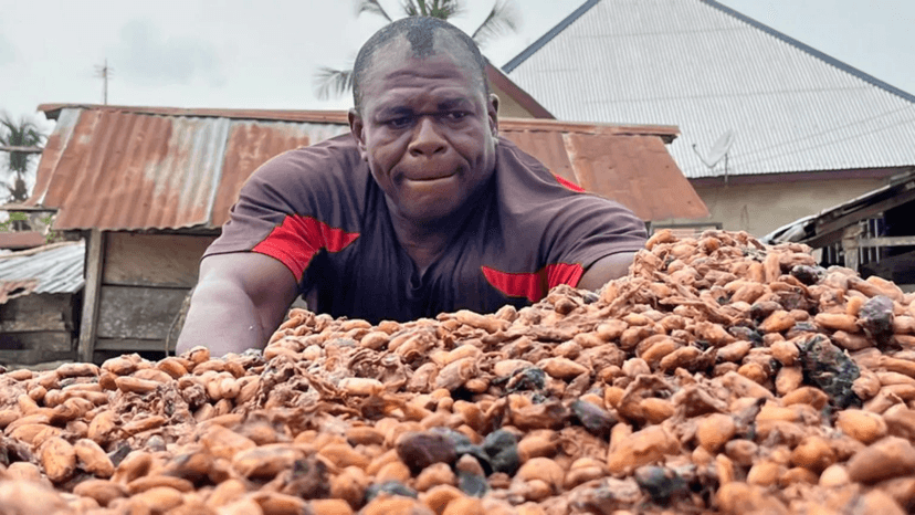Protecting Ghana’s cocoa farmers from global price shocks: Why local value addition must be a national priority
