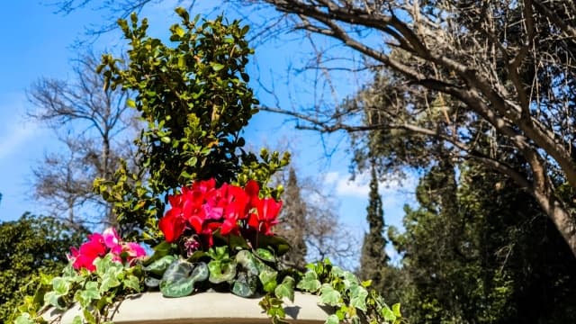 Weather: Mild and spring-like in the next ten days, with small variations