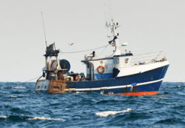 South Africa Intercepts and Fines Chinese Fishing Vessels
