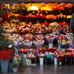 International Women's Day a boon for Estonia's flower sellers
