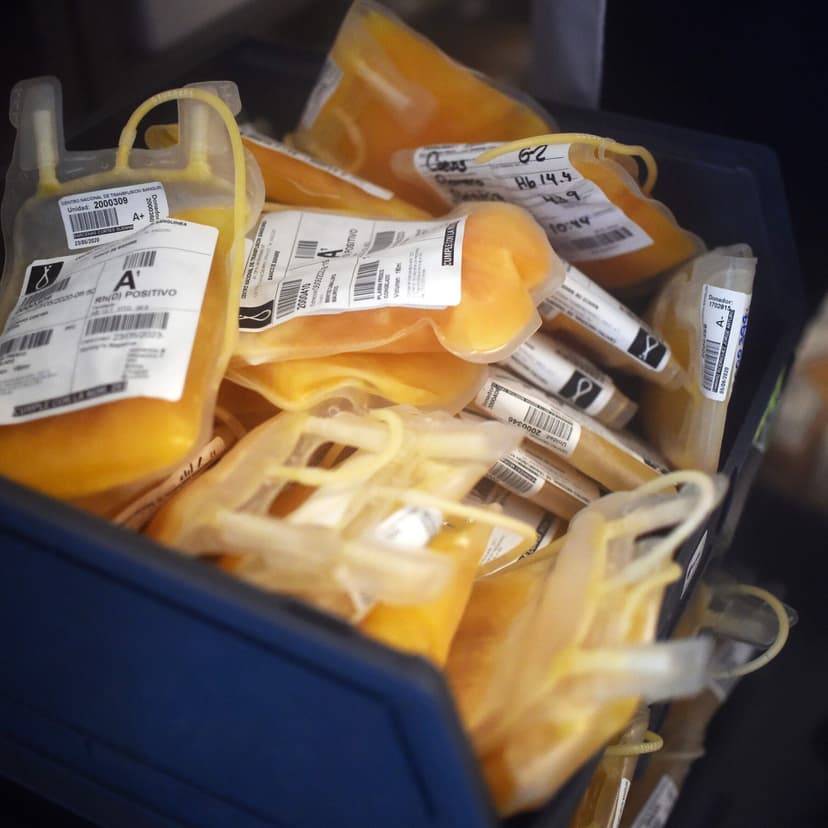 How Safe Is Plasma Donation?