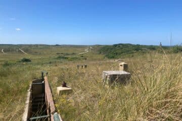 Netherlands Fails to Meet Nitrogen Reduction Targets in Nature Areas